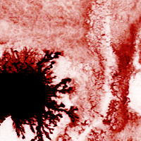 Haltijakäpälä, Rikkisu & Alexandros Kyparissis