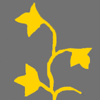 Sohjoo, Aina Kesken, angwnh