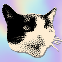 Nya & Kuisma / Kissatyttö-kollektiivi (käytättehän kollektiivimme nimeä!)